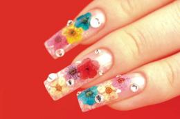 011013_img1エレガンス.jpg